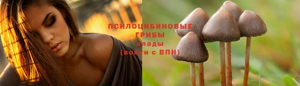 ешки Алексин