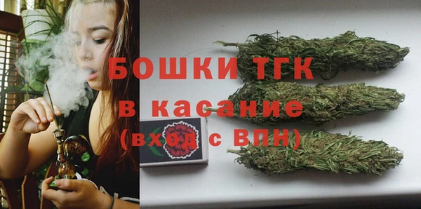 ешки Алексин