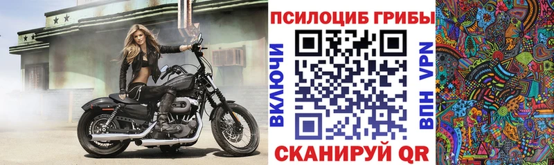Галлюциногенные грибы ЛСД  где купить   Калининск 